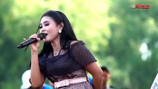 Sawangen  ANI ARLITA Lamongan Jawa Timur DANGDUT KOPLO NEW PALLAPA Terbaru 2018 [upl. by Nnorahs]