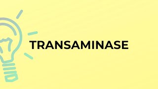 What is the meaning of the word TRANSAMINASE [upl. by Tarfe]