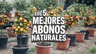 Los 5 MEJORES ABONOS orgánicos para tus plantas aplícalos hoy mismo [upl. by Janelle]