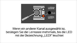 Sommer Handsender am Duo Vision Torantrieb einprogrammieren [upl. by Eedebez]