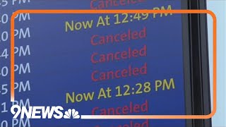 Flights canceled delayed at Denver airport due to winter weather [upl. by Salokcin527]