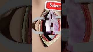 Tracheostomy procedure 3D animation Tracheostomy [upl. by Peta]