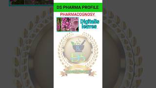 Pharmacognosy drug chart  Digitalis leaves pharmacognosy shorts pharmacy pharmamcq odisha [upl. by Yonit]