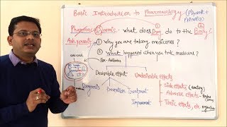 Pharmacokinetic and Pharmacodynamic  General Pharmacology  General Pharmacology  ADME Concepts [upl. by Aletsirc]