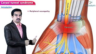 Carpal tunnel syndrome Anatomy Animation [upl. by Chappy60]