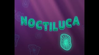 Noctiluca Walkthrough [upl. by Ailime717]