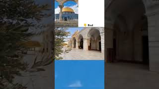 Labbaik Ya Aqsa masjidalaqsa masjideaqsastatus islamicstatus islamicshorts shorts reels [upl. by Baily245]