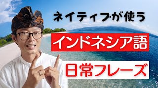 【 インドネシア語 】ネイティブがよく使う日常会話のフレーズ。会ったときやチャットでよく出てくるフレーズ。【Dengan SUBTITLE Bahasa Indonesia】 [upl. by Leler]