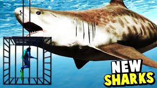 HUNTING NEW UPDATE TIGER SHARK IN ARK  ARK Modded 4 [upl. by Sitra]