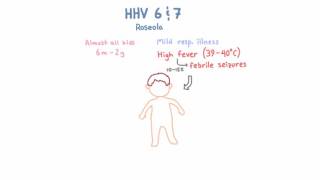 HHV 6 and 7  Roseloa [upl. by Knute]