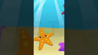 The Little Starfish Dance  Fun Nursery Rhyme for Kids  Cartoon  Baby videos  Kids Song  YMS [upl. by Anton]