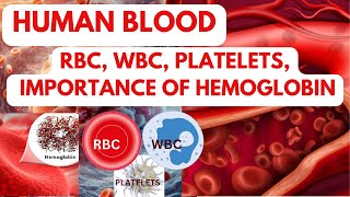 Human Blood  RBC  WBC  Platelets  Importance of Hemoglobin Pt4 [upl. by Byrdie]