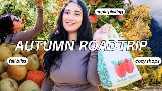 Exploring Fall Apple Picking Hidden Gem Scenic Drive Local Honey Shops Food Delights [upl. by Aissac]