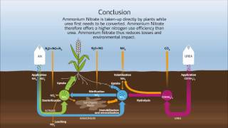 Nitrogen cycle in the soil [upl. by Rene385]