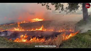 Survival Secrets 10 Ways to Deal with Wildfires  Tips Survival [upl. by Ettenna]