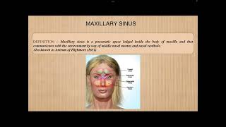 Histology of Maxillary Sinus [upl. by Arney39]