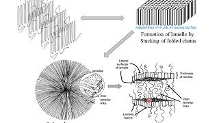 Polymer Crystallization [upl. by Anaylil]