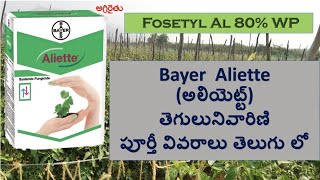 Bayer Aliette Fungicide in Telugu అలియెట్ట్ తెగులు నివారిణి  fosetyl al [upl. by Ayalat86]