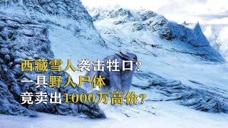 喜馬拉雅山神秘大腳印，真是野人所留？一具野人尸體竟賣1000萬？ 古董 開棺 古墓 考古發現 考古 [upl. by Liss]