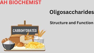 Oligosaccharides Structure and Function Carbohydrates Class 11 biology MDCAT Biochemistry [upl. by Noivert]