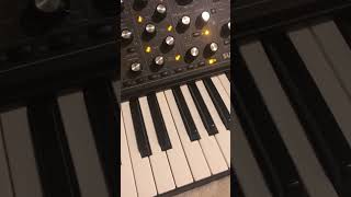 Moog Subsequent 37  Circuits reigniting [upl. by Adon]