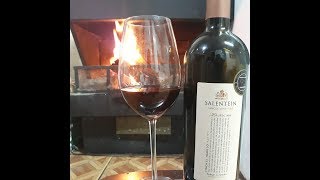 0032  Vinho Salentein Single Vineyard Malbec 2015 [upl. by Carolina]