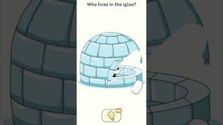 Dop2 level359 Who lives in the igloo [upl. by Eycal]