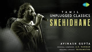 Snehidhane  Tamil Unplugged Classics  Alaipayuthey  A R Rahman  Avinash Gupta [upl. by Annehs949]