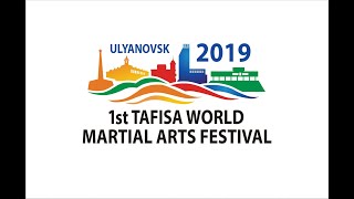 The 1st TAFISA Martial Arts Festival final video [upl. by Gall]