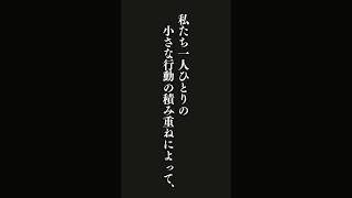 世界の悲惨な現実にどんなに心を痛めても、私たち一人ひとりの小さな行動の積み重ねによって・・・シュバイツァー 名言シリーズ [upl. by Assetan601]