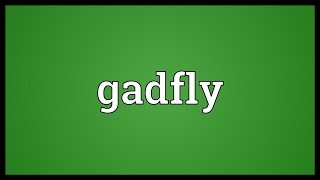 Gadfly Meaning [upl. by Haggai]