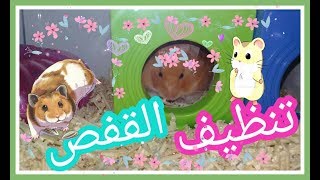 كيف أنظف القفص الزجاجي للهامستر  Cleaning My Hamster CAGE [upl. by Llekcir]