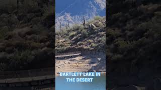 Desert Beauty Bartlet Lake [upl. by Naillig309]