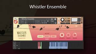 Whistler Ensemble  Walkthrough [upl. by David]