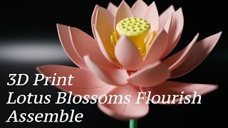 Lotus blossoms flourish 3d Print Assemble [upl. by Akcirret]