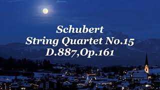 シューベルト：弦楽四重奏曲第15番ト長調 D887Op161 Schubert：String Quartet No15 in G major [upl. by Tahmosh]