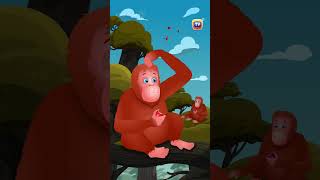 Asian Elephant Song Orangutan Bonobo Shorts ChuChuTV KidsSongs animalshorts endangeredanimals [upl. by Aunson346]