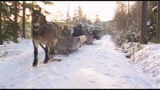 Kom med oss på en natur och kulturupplevelse i Finnskogen [upl. by Irv]