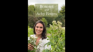 Boneset for Fevers from the Ivywood Garden [upl. by Garling]