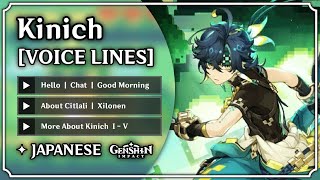 Kinich  All Voice Lines JAPANESE Voice Over  Genshin Impact  M0har1b [upl. by Aiekahs]