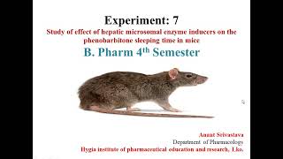 Study the effect of hepatic microsomal enzyme inducers on the phenobarbitone sleeping time in mice [upl. by Tessie879]