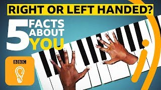 Right or lefthanded 5 facts about you  BBC Ideas [upl. by Jammie]