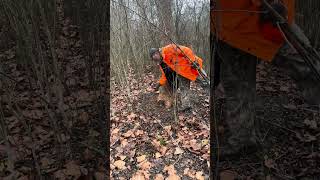 Where the beavers go outdoors nature bushcraft bushcraftlife family [upl. by Serena]