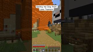 Saving my Dog from a Lava Tsunami in Minecraft minecraft [upl. by Krebs]