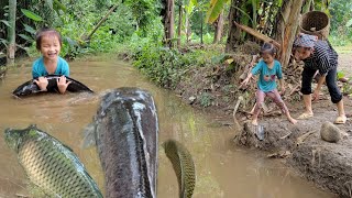 Full video 30 days back to the old house life of catching fish making ends meet [upl. by Colson291]