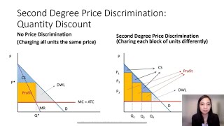 Price Discrimination 2 2nd Degree Price Discrimination Principle Level [upl. by Rovner]