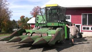 Growing Sunflowers for Biodiesel [upl. by Eleirbag]