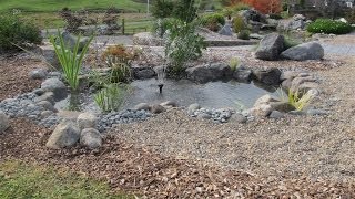 How to build a small fish pond [upl. by Drape]