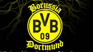 Borussia Dortmund Song  HITMIX [upl. by Ambrosine667]