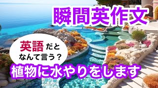 瞬間英作文351 英会話「一日おきに植物に水やりをします」英語リスニング聞き流し [upl. by Bradman692]